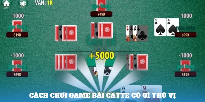 Cách chơi game bài catte có gì thú vị